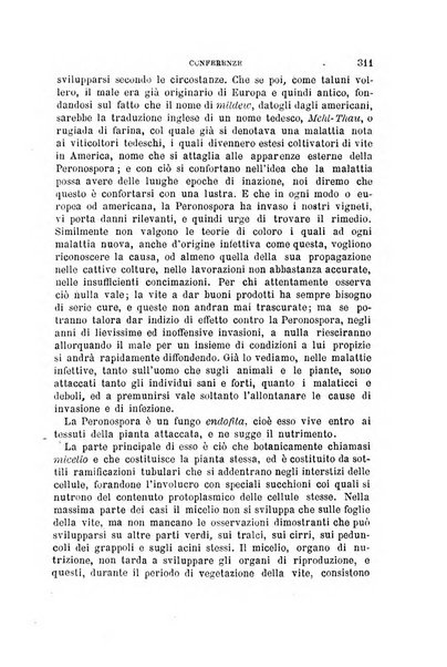 L'economia rurale, le arti ed il commercio