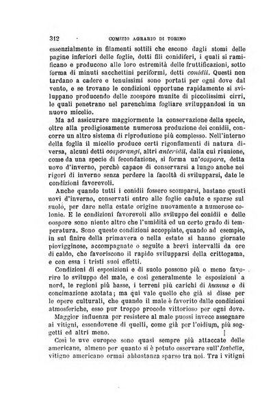 L'economia rurale, le arti ed il commercio