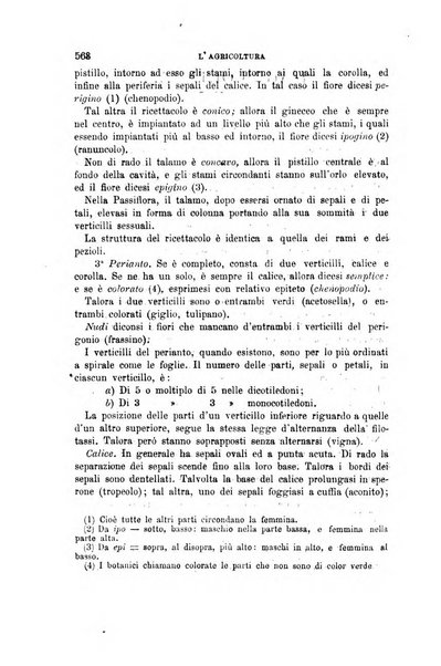 L'economia rurale, le arti ed il commercio