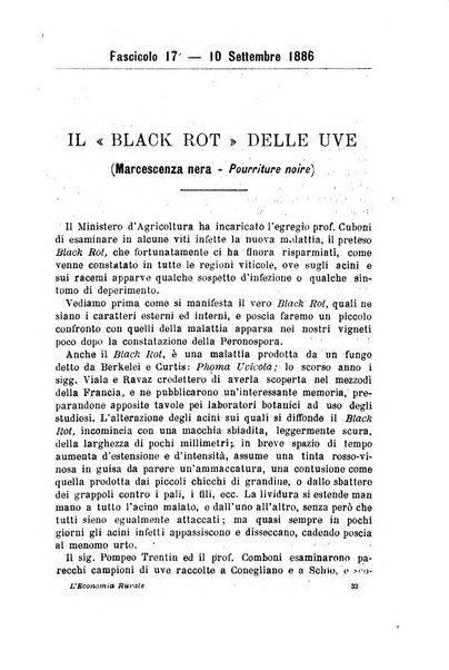 L'economia rurale, le arti ed il commercio