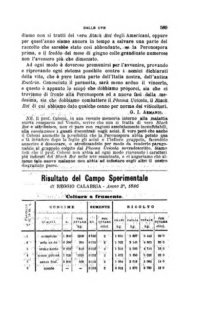 L'economia rurale, le arti ed il commercio