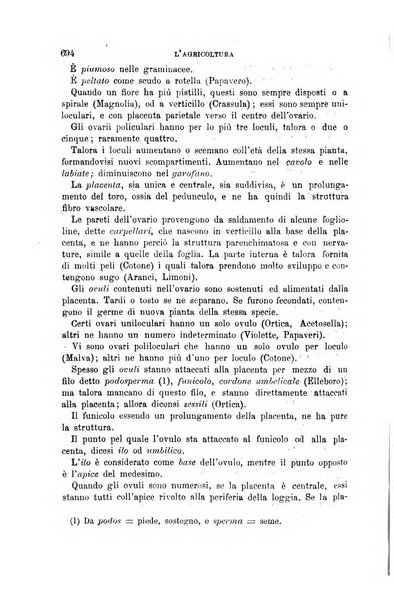 L'economia rurale, le arti ed il commercio