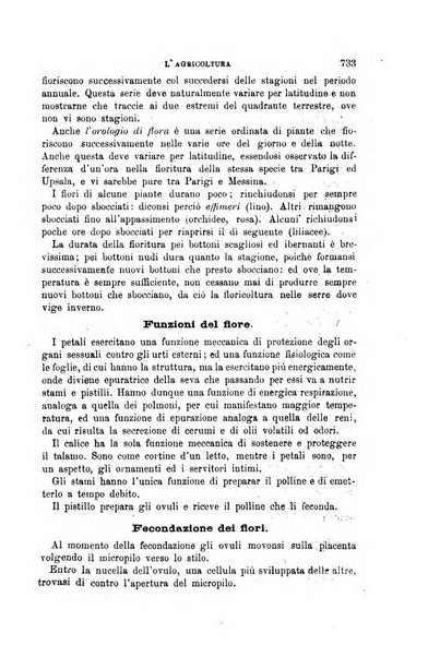 L'economia rurale, le arti ed il commercio