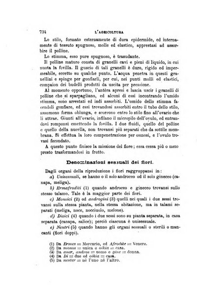 L'economia rurale, le arti ed il commercio