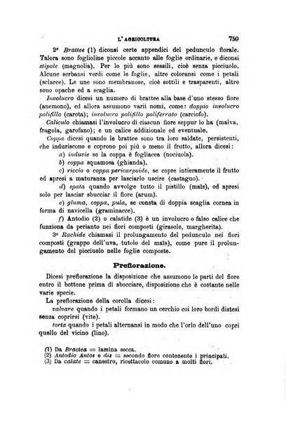 L'economia rurale, le arti ed il commercio