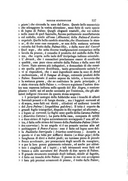 Il Giambattista Vico giornale scientifico fondato e pubblicato sotto gli auspici di Sua Altezza Reale il conte di Siracusa