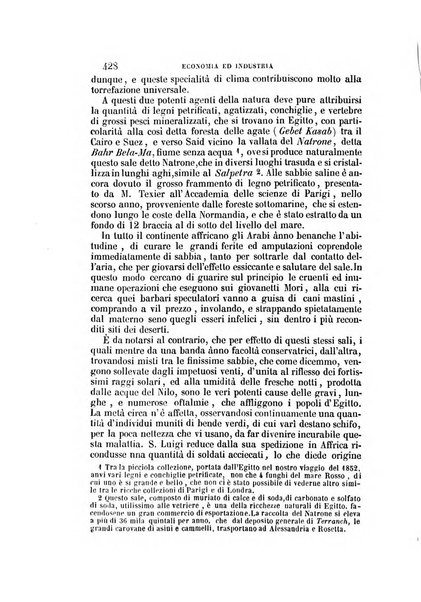 Il Giambattista Vico giornale scientifico fondato e pubblicato sotto gli auspici di Sua Altezza Reale il conte di Siracusa