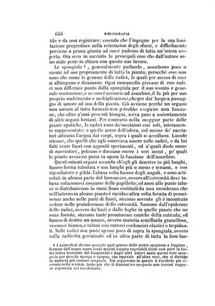 Il Giambattista Vico giornale scientifico fondato e pubblicato sotto gli auspici di Sua Altezza Reale il conte di Siracusa