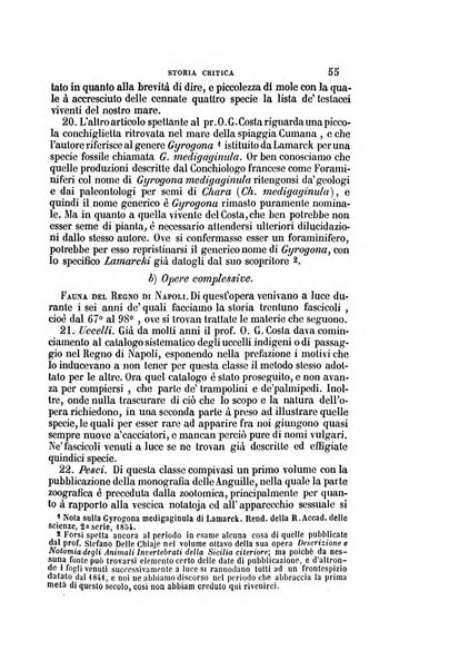 Il Giambattista Vico giornale scientifico fondato e pubblicato sotto gli auspici di Sua Altezza Reale il conte di Siracusa