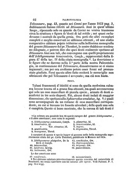 Il Giambattista Vico giornale scientifico fondato e pubblicato sotto gli auspici di Sua Altezza Reale il conte di Siracusa