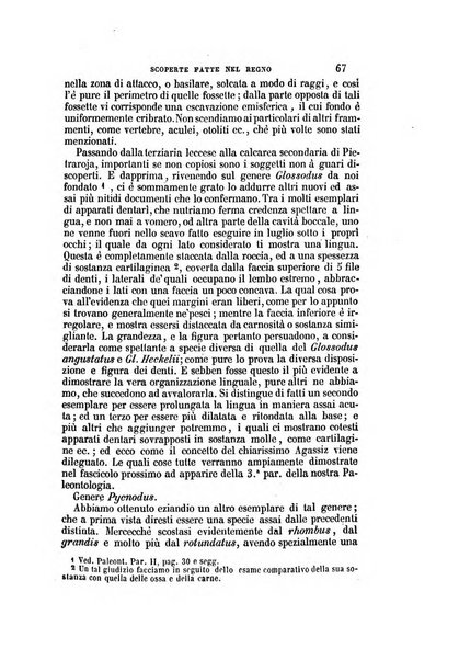 Il Giambattista Vico giornale scientifico fondato e pubblicato sotto gli auspici di Sua Altezza Reale il conte di Siracusa