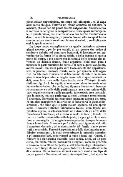 Il Giambattista Vico giornale scientifico fondato e pubblicato sotto gli auspici di Sua Altezza Reale il conte di Siracusa