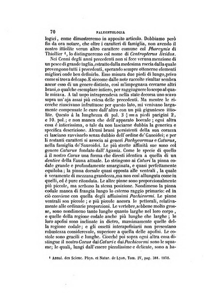 Il Giambattista Vico giornale scientifico fondato e pubblicato sotto gli auspici di Sua Altezza Reale il conte di Siracusa