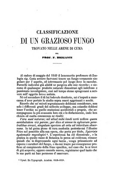 Il Giambattista Vico giornale scientifico fondato e pubblicato sotto gli auspici di Sua Altezza Reale il conte di Siracusa