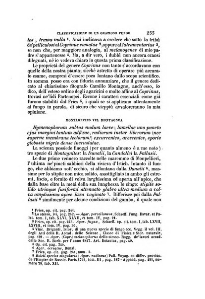 Il Giambattista Vico giornale scientifico fondato e pubblicato sotto gli auspici di Sua Altezza Reale il conte di Siracusa