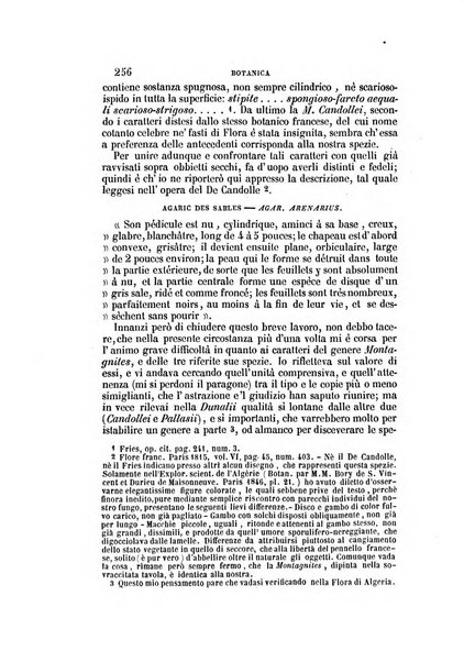 Il Giambattista Vico giornale scientifico fondato e pubblicato sotto gli auspici di Sua Altezza Reale il conte di Siracusa