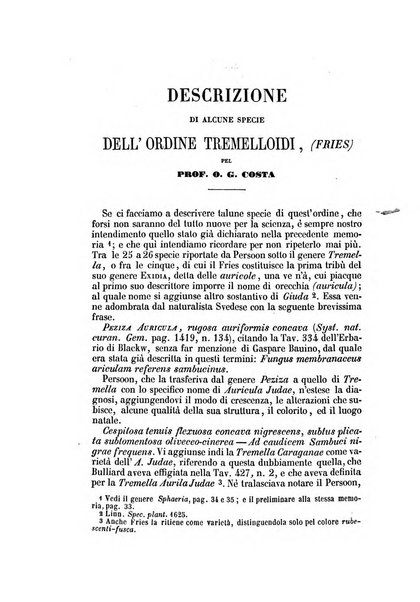 Il Giambattista Vico giornale scientifico fondato e pubblicato sotto gli auspici di Sua Altezza Reale il conte di Siracusa