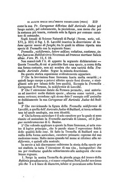 Il Giambattista Vico giornale scientifico fondato e pubblicato sotto gli auspici di Sua Altezza Reale il conte di Siracusa