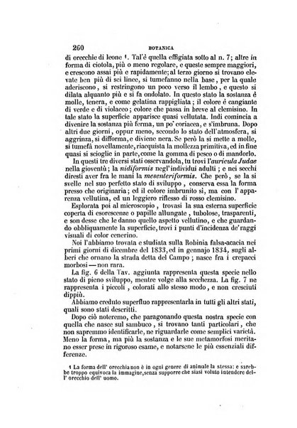 Il Giambattista Vico giornale scientifico fondato e pubblicato sotto gli auspici di Sua Altezza Reale il conte di Siracusa