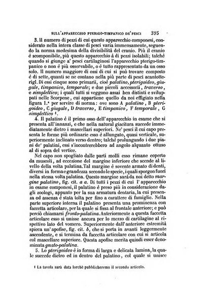 Il Giambattista Vico giornale scientifico fondato e pubblicato sotto gli auspici di Sua Altezza Reale il conte di Siracusa