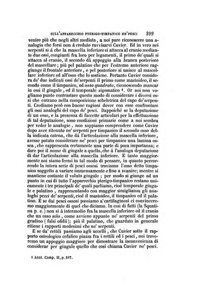 Il Giambattista Vico giornale scientifico fondato e pubblicato sotto gli auspici di Sua Altezza Reale il conte di Siracusa