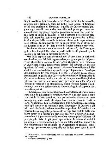 Il Giambattista Vico giornale scientifico fondato e pubblicato sotto gli auspici di Sua Altezza Reale il conte di Siracusa