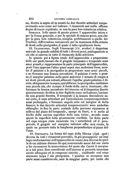 Il Giambattista Vico giornale scientifico fondato e pubblicato sotto gli auspici di Sua Altezza Reale il conte di Siracusa