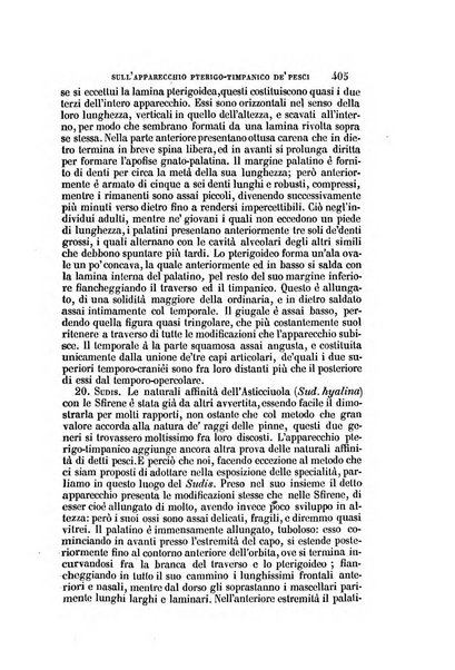 Il Giambattista Vico giornale scientifico fondato e pubblicato sotto gli auspici di Sua Altezza Reale il conte di Siracusa