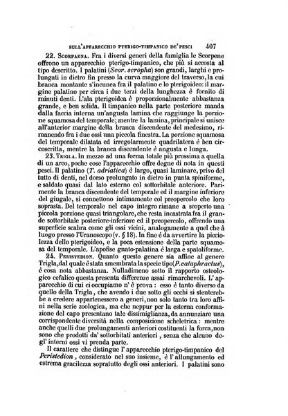 Il Giambattista Vico giornale scientifico fondato e pubblicato sotto gli auspici di Sua Altezza Reale il conte di Siracusa