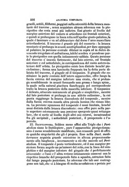 Il Giambattista Vico giornale scientifico fondato e pubblicato sotto gli auspici di Sua Altezza Reale il conte di Siracusa