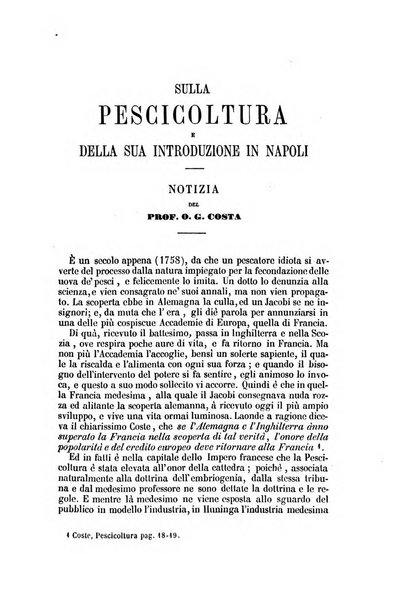 Il Giambattista Vico giornale scientifico fondato e pubblicato sotto gli auspici di Sua Altezza Reale il conte di Siracusa