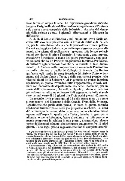 Il Giambattista Vico giornale scientifico fondato e pubblicato sotto gli auspici di Sua Altezza Reale il conte di Siracusa