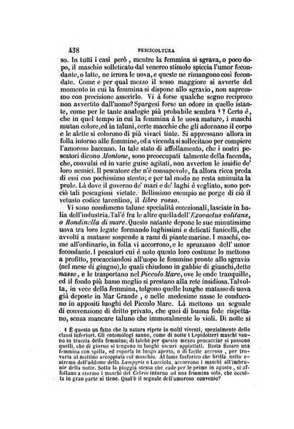 Il Giambattista Vico giornale scientifico fondato e pubblicato sotto gli auspici di Sua Altezza Reale il conte di Siracusa