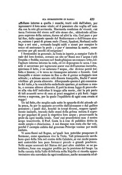 Il Giambattista Vico giornale scientifico fondato e pubblicato sotto gli auspici di Sua Altezza Reale il conte di Siracusa