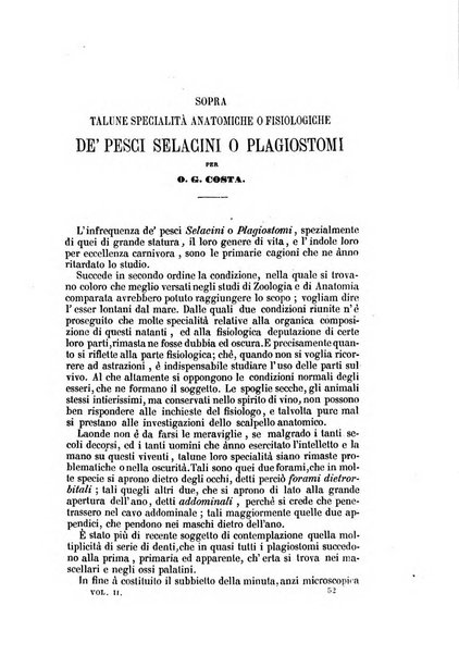 Il Giambattista Vico giornale scientifico fondato e pubblicato sotto gli auspici di Sua Altezza Reale il conte di Siracusa