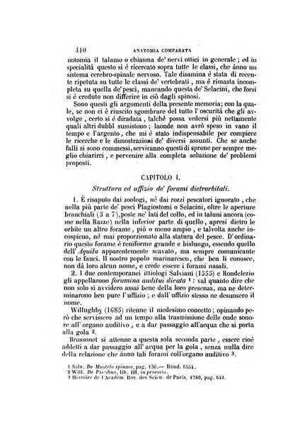 Il Giambattista Vico giornale scientifico fondato e pubblicato sotto gli auspici di Sua Altezza Reale il conte di Siracusa