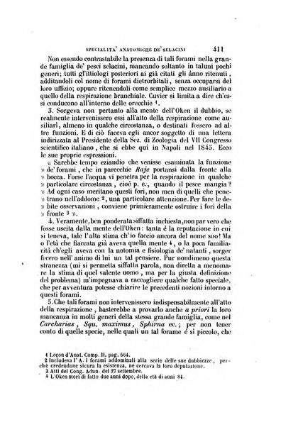 Il Giambattista Vico giornale scientifico fondato e pubblicato sotto gli auspici di Sua Altezza Reale il conte di Siracusa