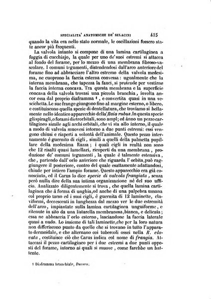 Il Giambattista Vico giornale scientifico fondato e pubblicato sotto gli auspici di Sua Altezza Reale il conte di Siracusa