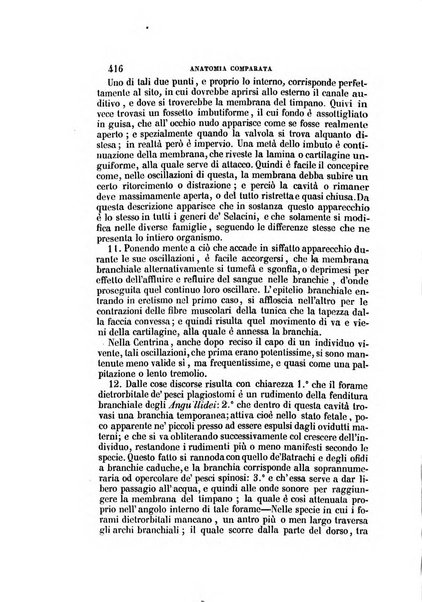 Il Giambattista Vico giornale scientifico fondato e pubblicato sotto gli auspici di Sua Altezza Reale il conte di Siracusa