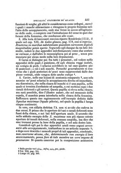 Il Giambattista Vico giornale scientifico fondato e pubblicato sotto gli auspici di Sua Altezza Reale il conte di Siracusa