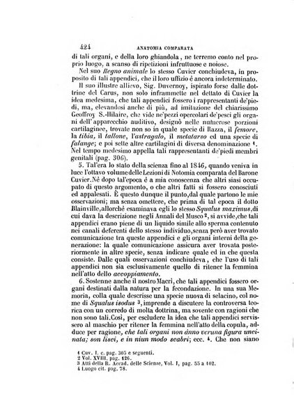 Il Giambattista Vico giornale scientifico fondato e pubblicato sotto gli auspici di Sua Altezza Reale il conte di Siracusa