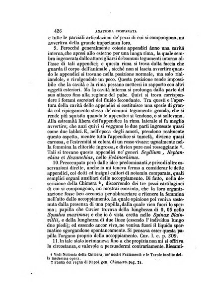 Il Giambattista Vico giornale scientifico fondato e pubblicato sotto gli auspici di Sua Altezza Reale il conte di Siracusa