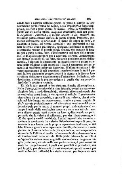 Il Giambattista Vico giornale scientifico fondato e pubblicato sotto gli auspici di Sua Altezza Reale il conte di Siracusa