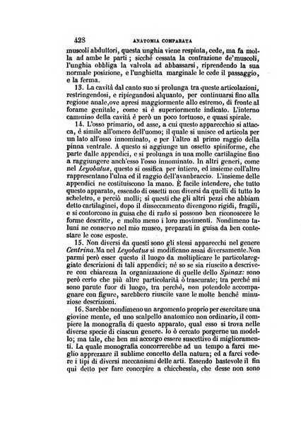 Il Giambattista Vico giornale scientifico fondato e pubblicato sotto gli auspici di Sua Altezza Reale il conte di Siracusa