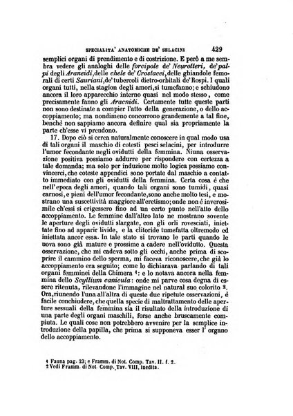 Il Giambattista Vico giornale scientifico fondato e pubblicato sotto gli auspici di Sua Altezza Reale il conte di Siracusa