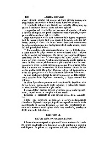 Il Giambattista Vico giornale scientifico fondato e pubblicato sotto gli auspici di Sua Altezza Reale il conte di Siracusa