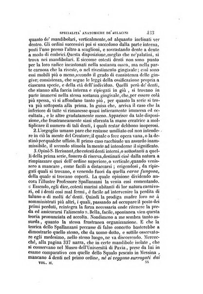 Il Giambattista Vico giornale scientifico fondato e pubblicato sotto gli auspici di Sua Altezza Reale il conte di Siracusa