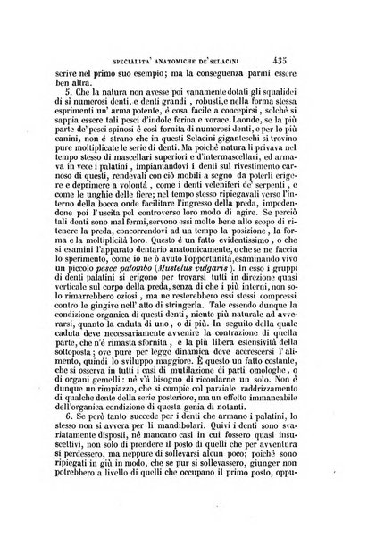 Il Giambattista Vico giornale scientifico fondato e pubblicato sotto gli auspici di Sua Altezza Reale il conte di Siracusa