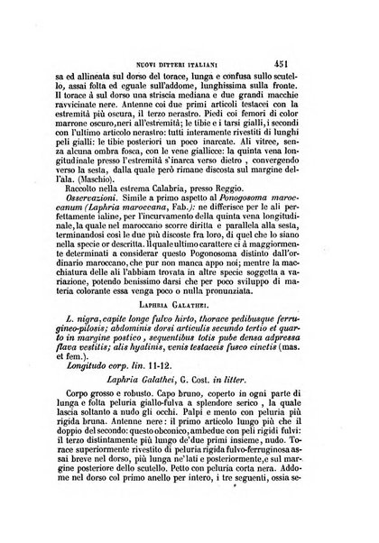 Il Giambattista Vico giornale scientifico fondato e pubblicato sotto gli auspici di Sua Altezza Reale il conte di Siracusa