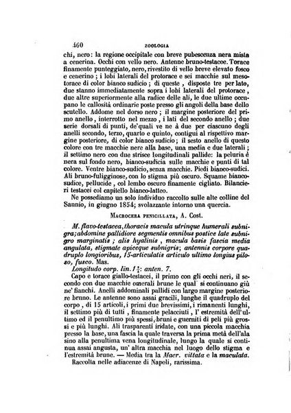 Il Giambattista Vico giornale scientifico fondato e pubblicato sotto gli auspici di Sua Altezza Reale il conte di Siracusa